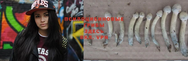 Альфа ПВП Баксан