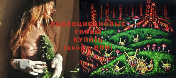 индика Балабаново