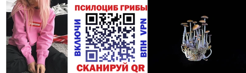 купить   Данков  Галлюциногенные грибы мухоморы 